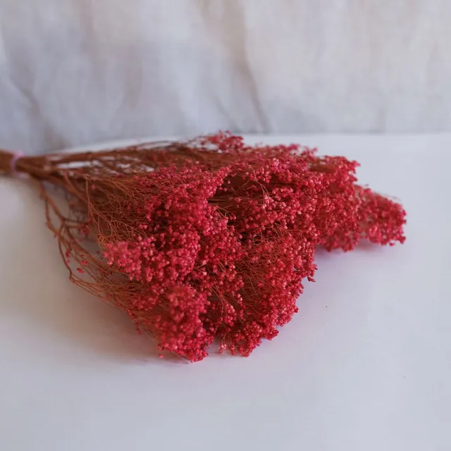 Flowrette Broom Bloom botte fleurs séchées rose x1