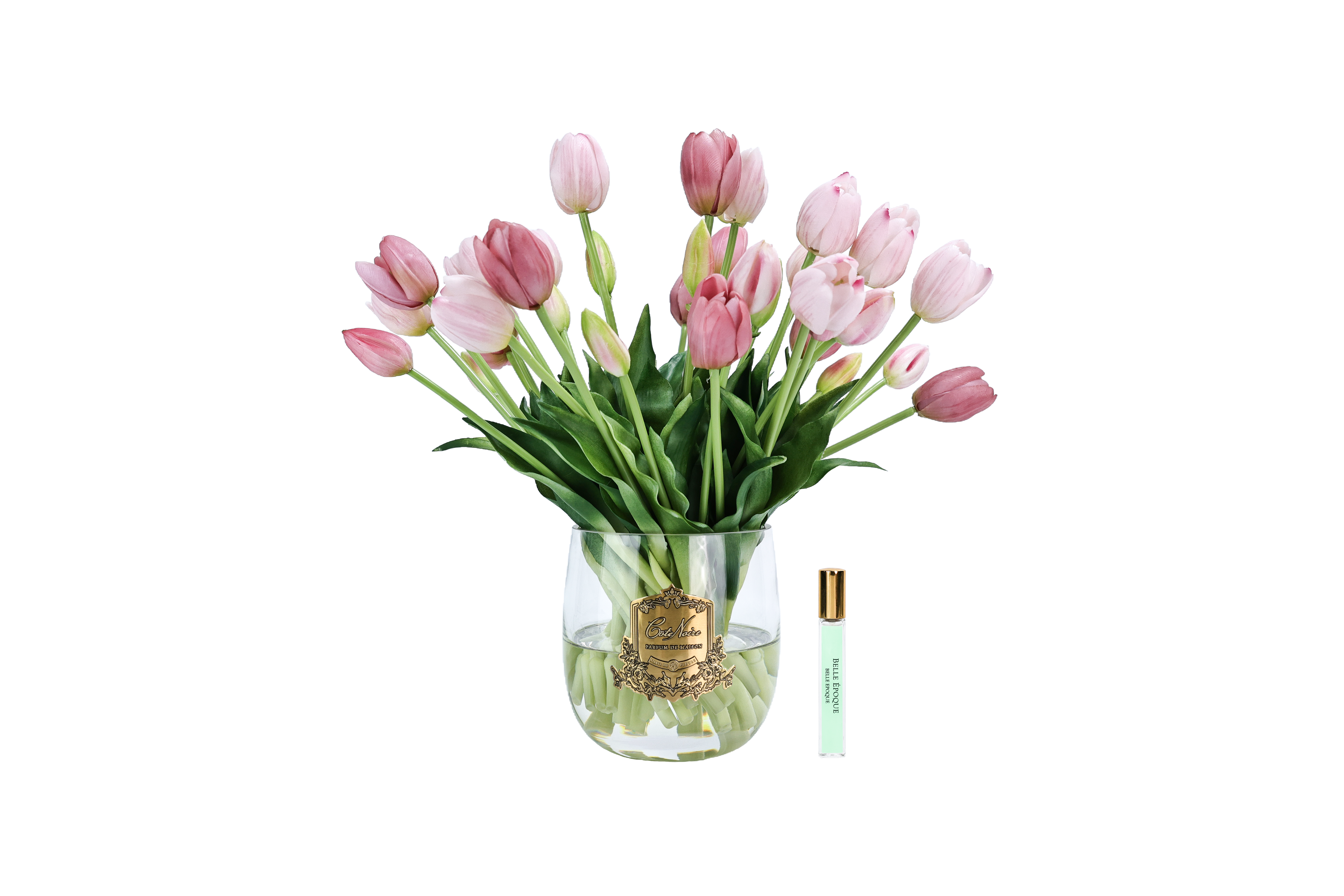 Côte Noire Heritage Tulips HT02 tulipes roses