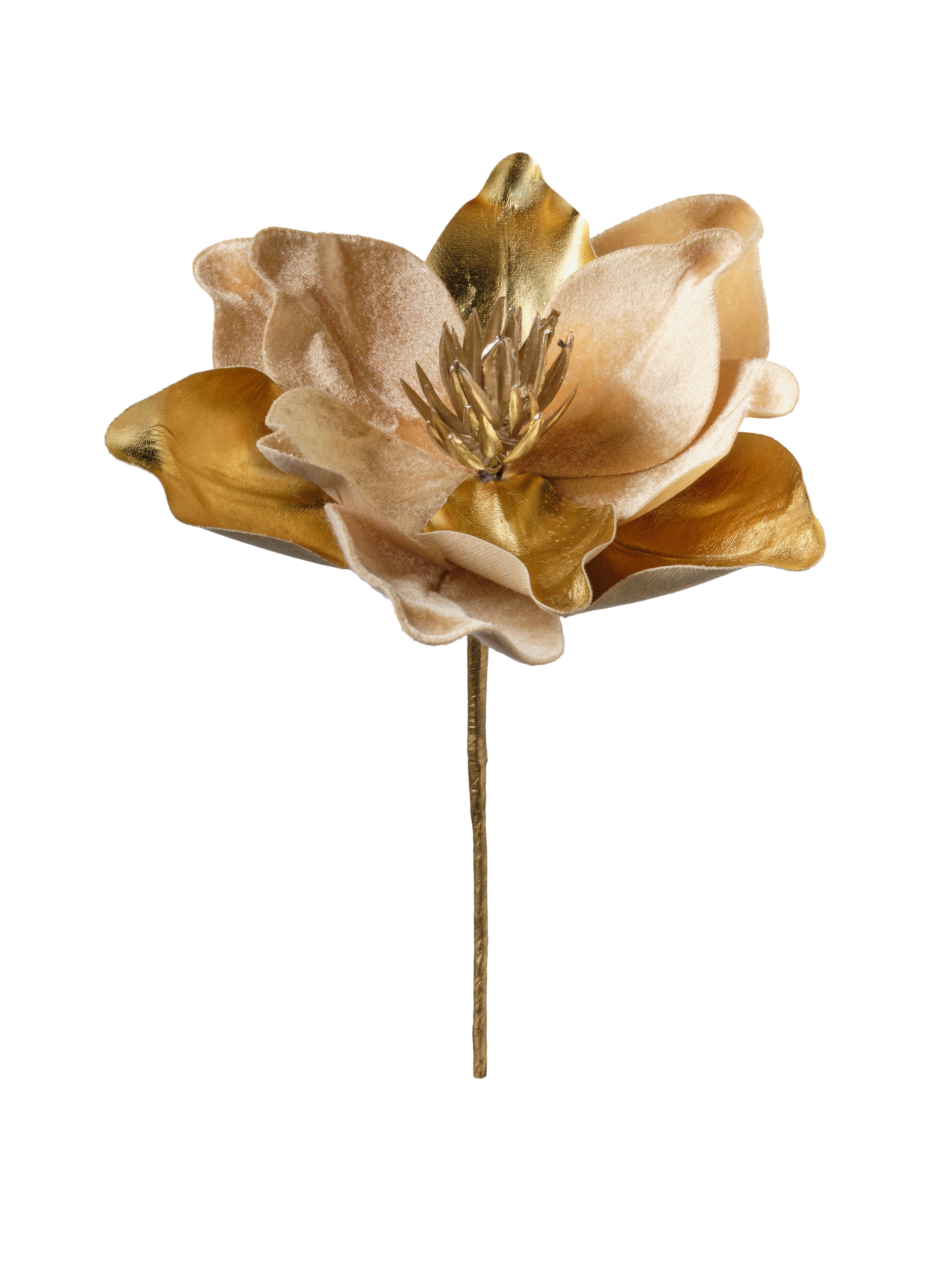 Feuillazur Rungis Produits de saison tige magnolia beige