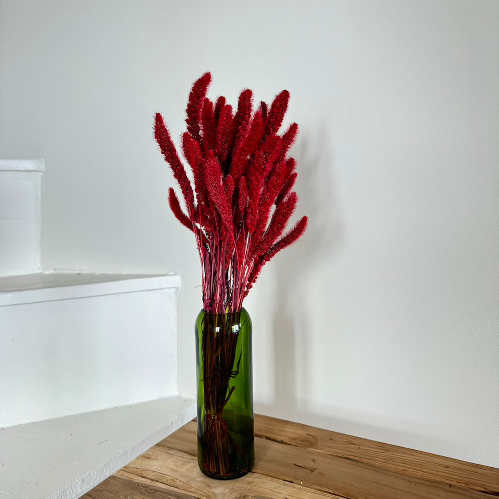 Flowrette Sétaire rouge fleurs séchées botte x1