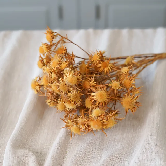Flowrette Botte Panicaut fleur séchée x1 naturel