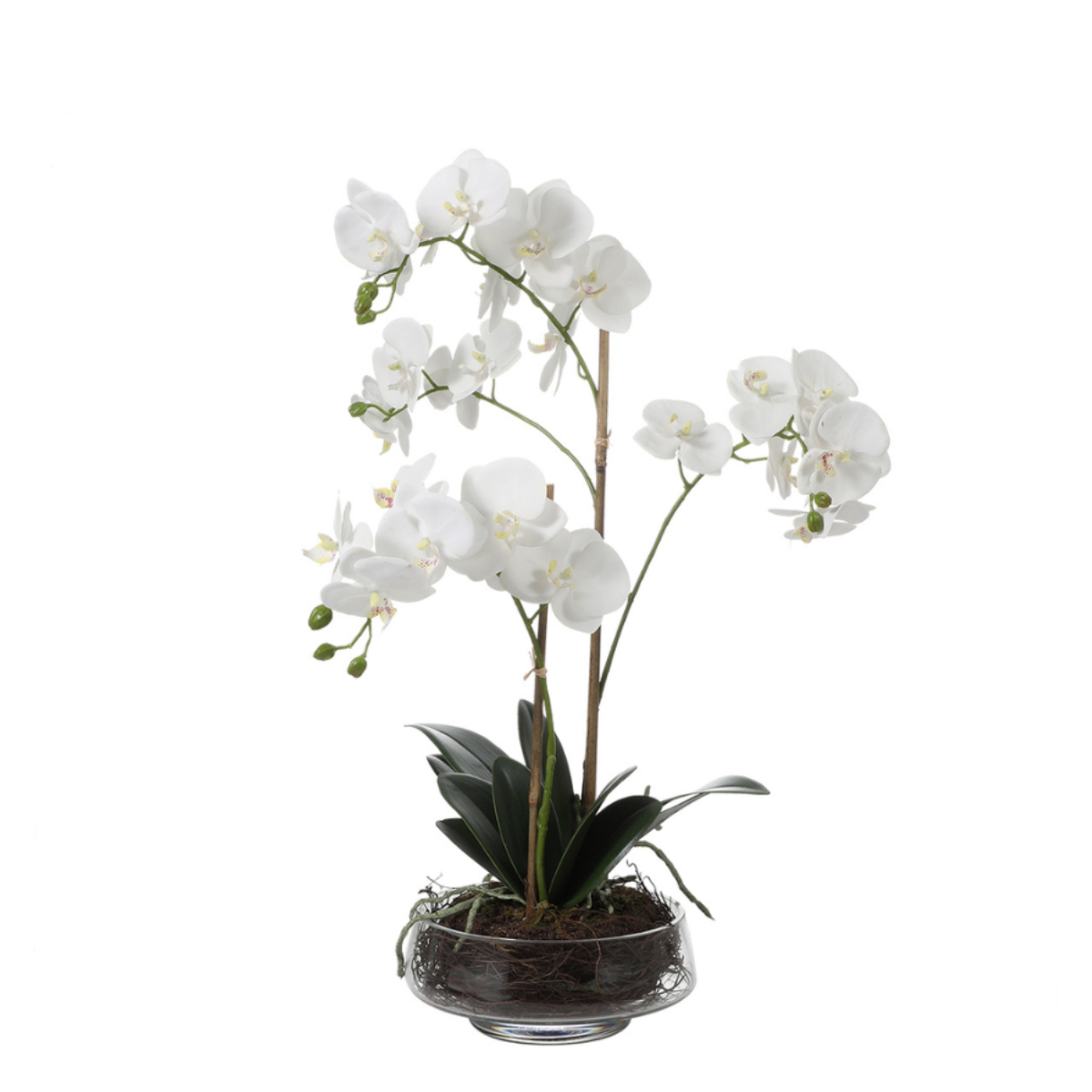 Sia Home Compositions Lena orchidée artificielle 56cm blanc