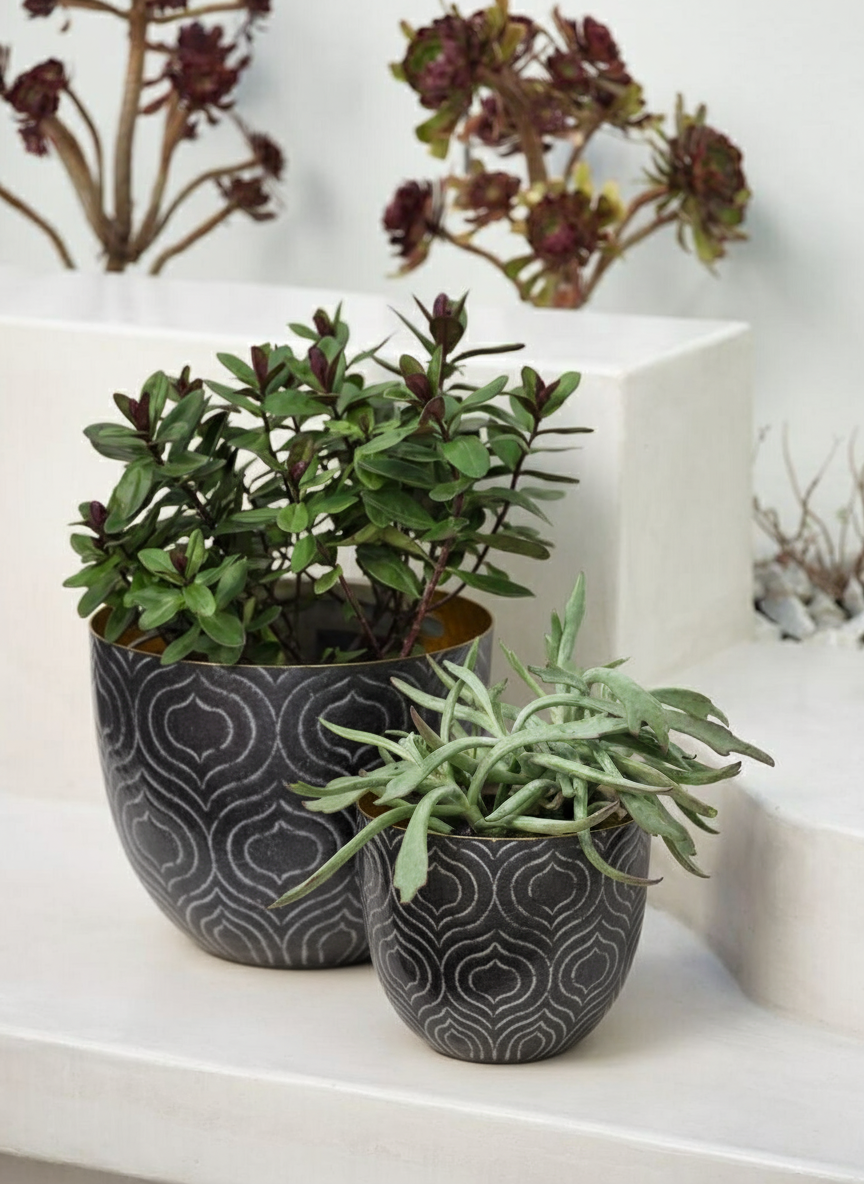 Sia Home Baltazar cache-pot violet lot de 2 fer doré