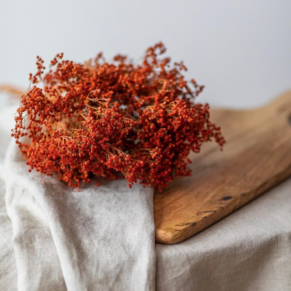 Flowrette Broom Bloom botte séchée orange terracotta