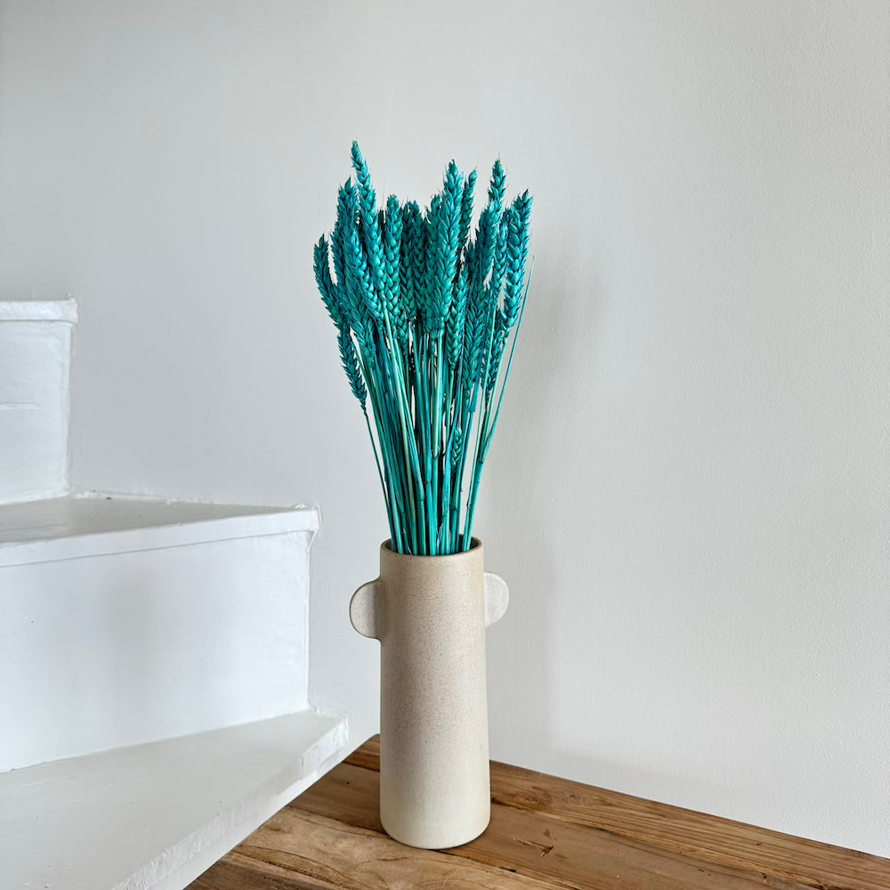 Flowrette Blé botte fleurs séchées turquoise x1