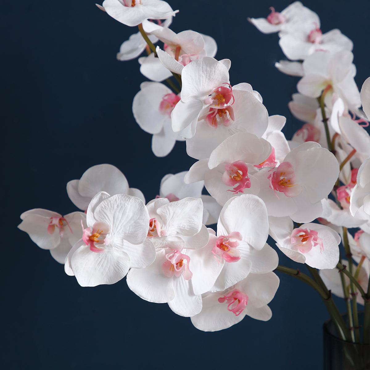 Sia Home Orchidée Phalaenopsis tige artificielle blanc 66 cm