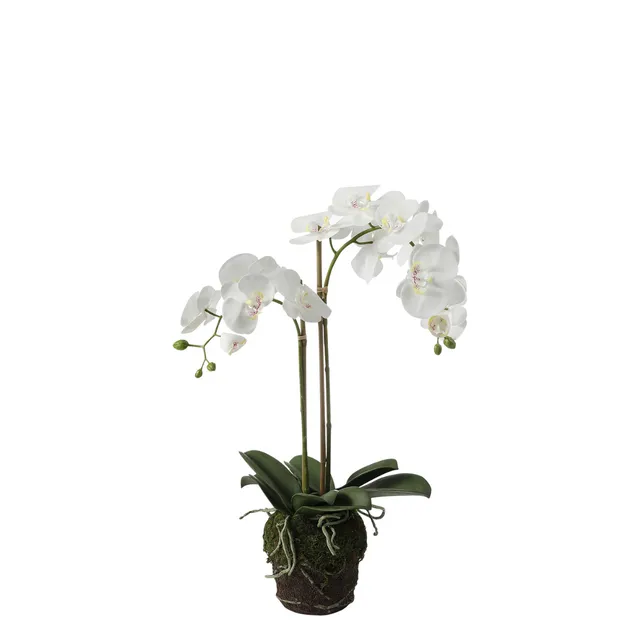 Sia Home Orchidée terre composition artificielle blanc 70 cm