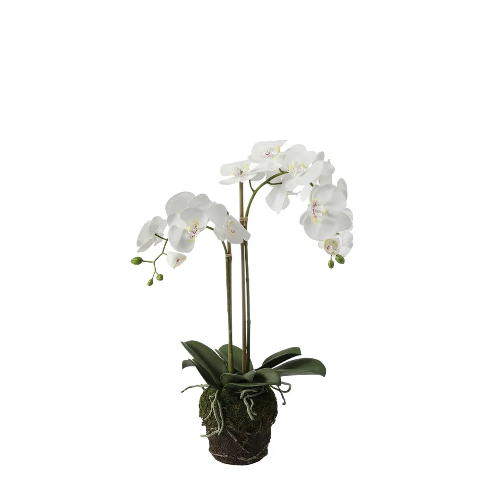 Sia Home Orchidée terre composition artificielle blanc 70 cm