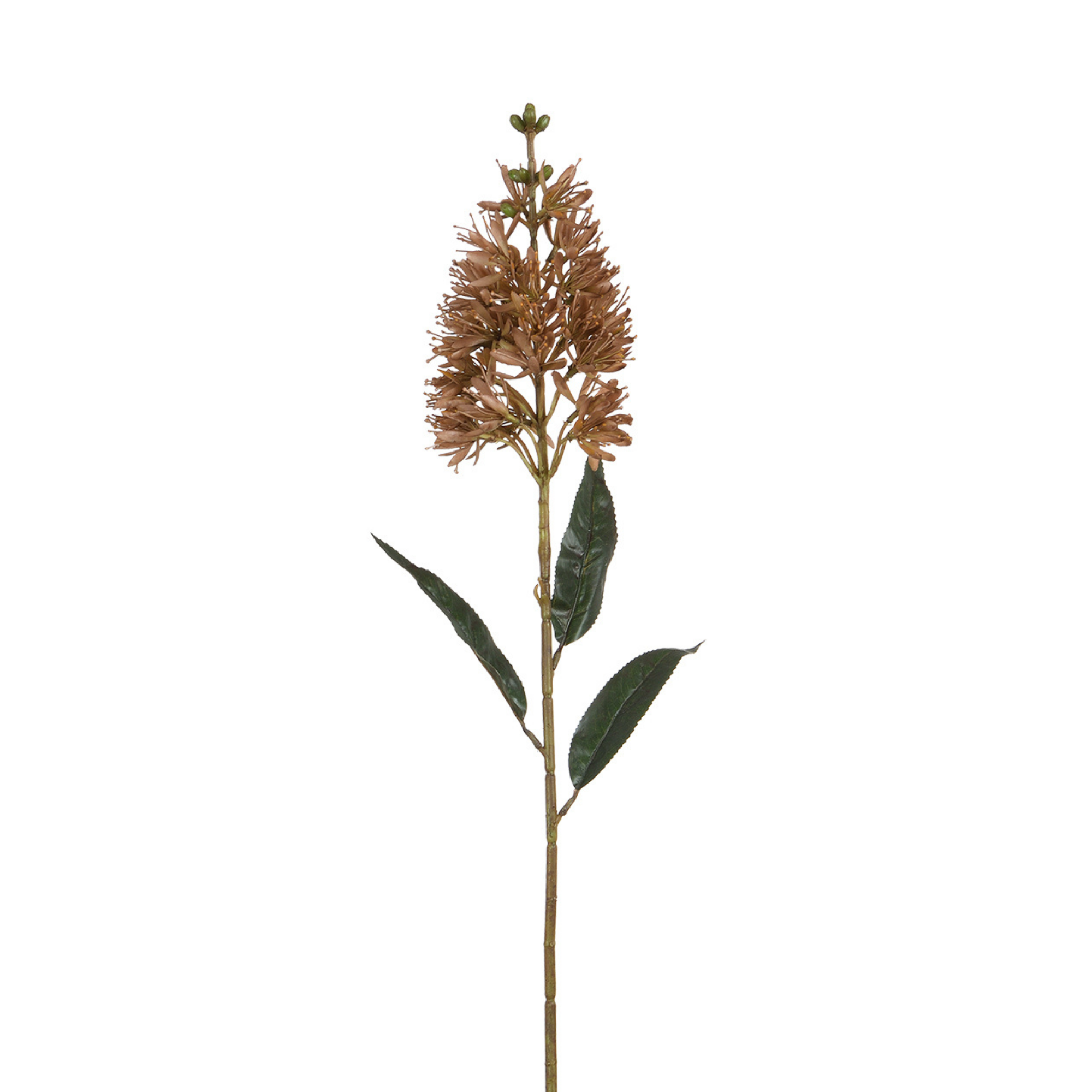 Sia Home Allium tige fleur artificielle 78 cm blanc
