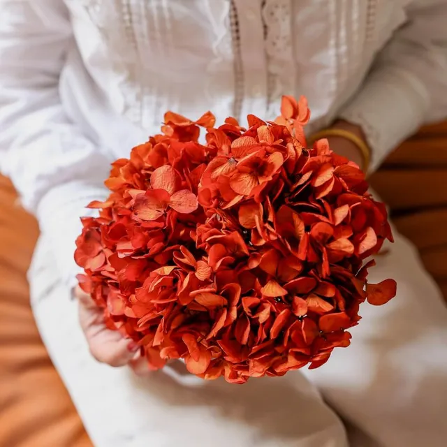 Flowrette Hortensia fleur stabilisée orange x1