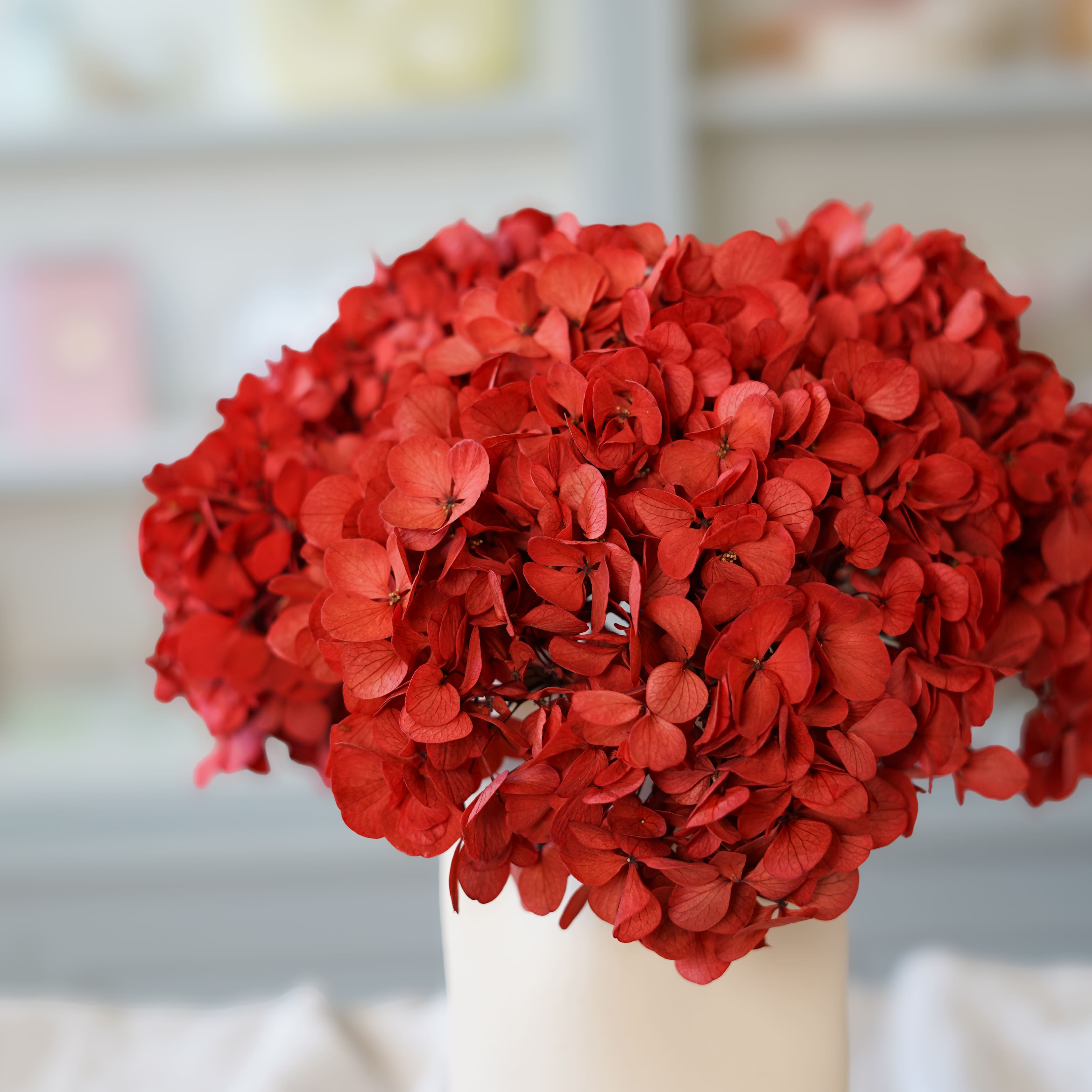 Flowrette Hortensia Rouge Fleur Stabilisée x1 Volume
