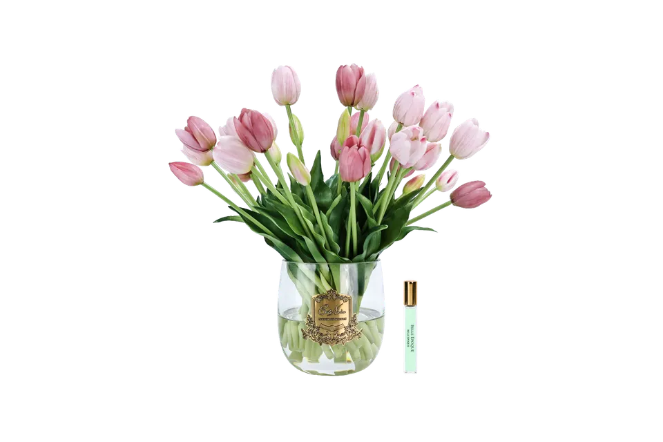 Côte Noire Heritage Tulips HT02 tulipes roses