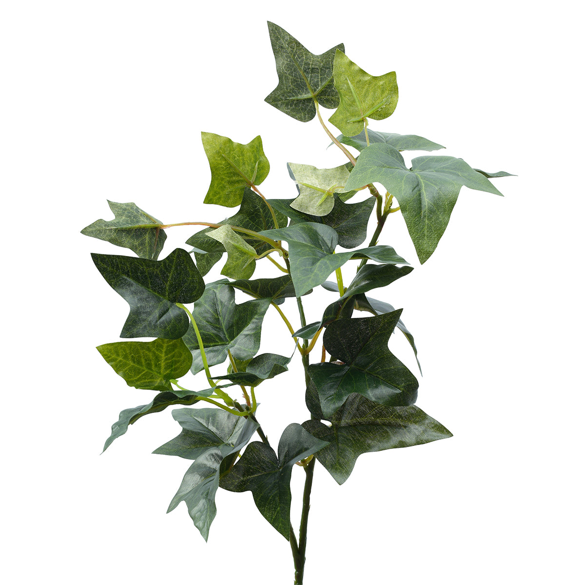 Sia Home Lierre anglais feuillage artificiel vert 61 cm
