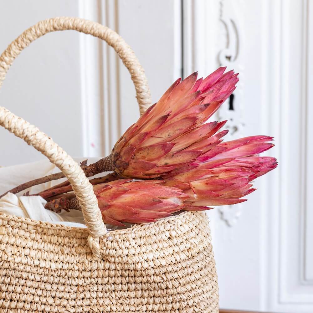 Flowrette Protea stabilisé fleur séchée botte 5 exotique
