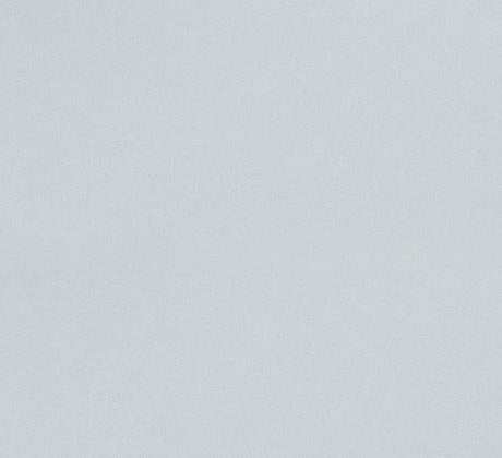 Feuillazur Rungis Moquette tapis Gris clair 1m