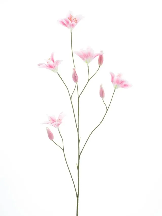 Feuillazur Rungis Branche de Lys Fleur Artificielle Blanc 106cm