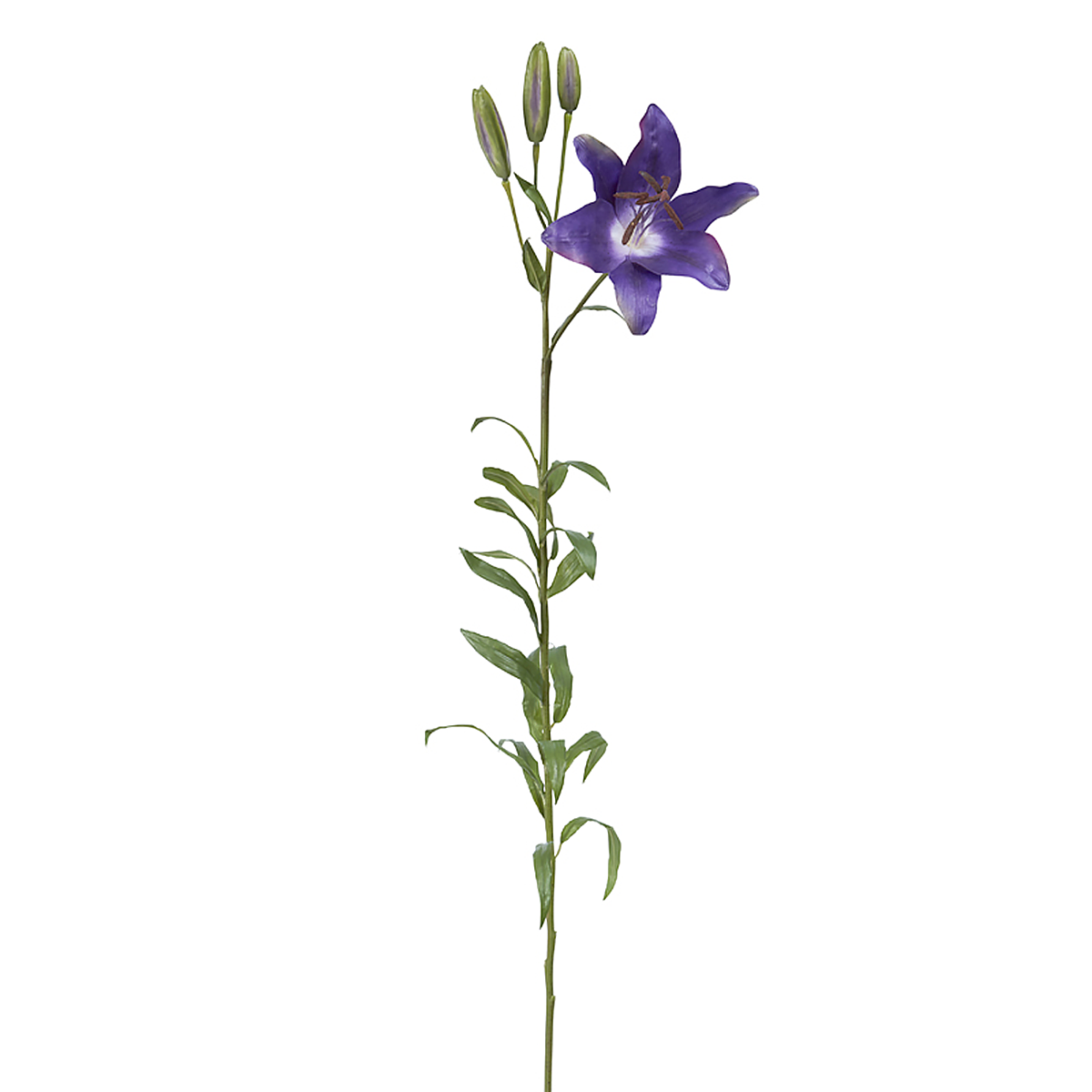 Sia Home Lily Rubrum Elsa fleur artificielle rouge 98 cm