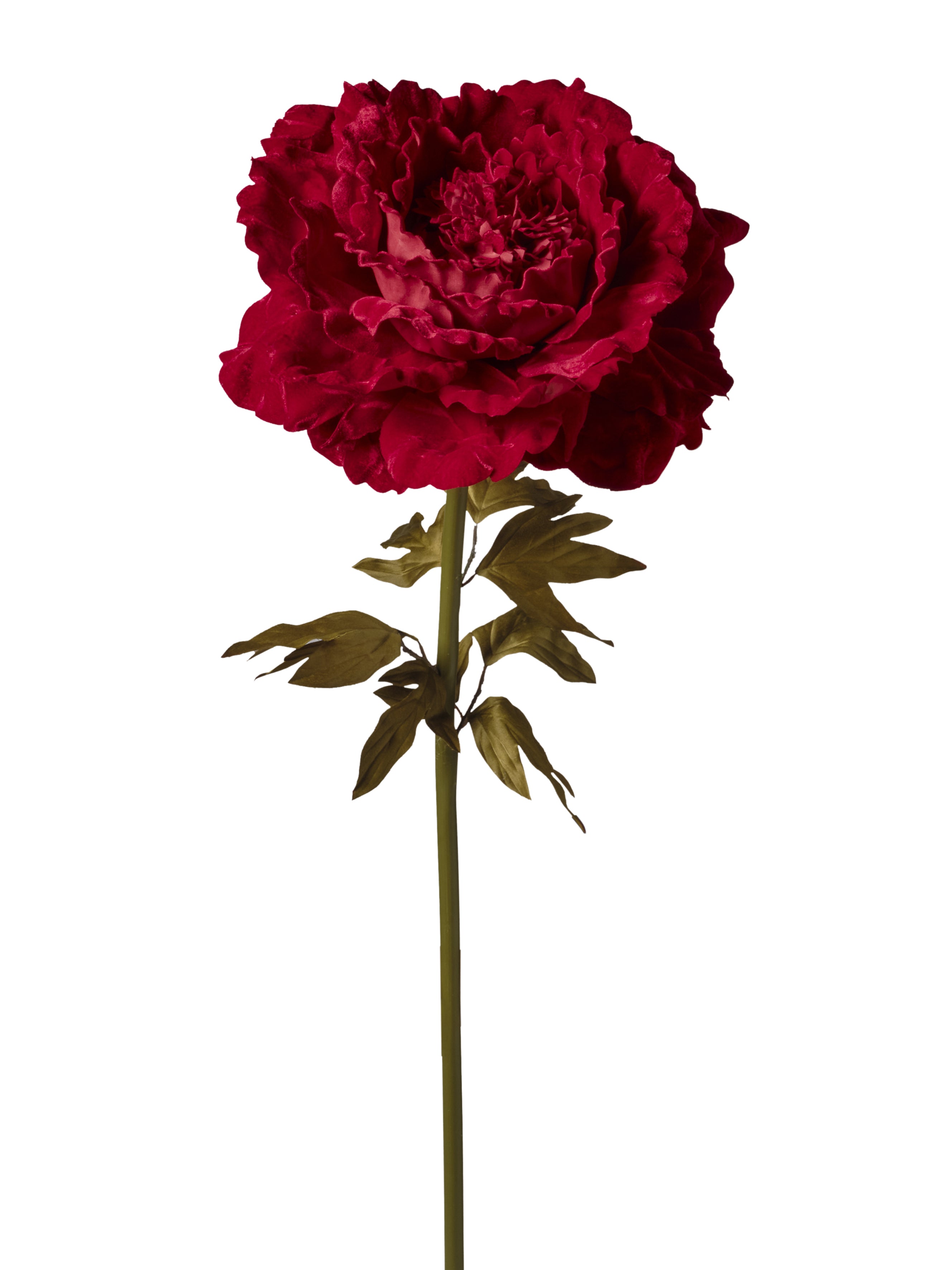 Feuillazur pivoine velours fleur artificielle rouge 115 cm