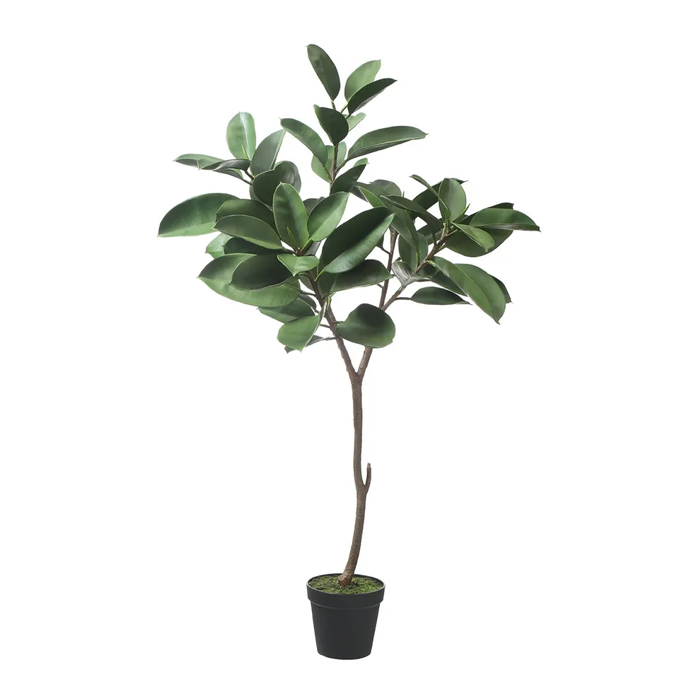 Sia Arbres artificiels Ficus en pot 165 cm vert