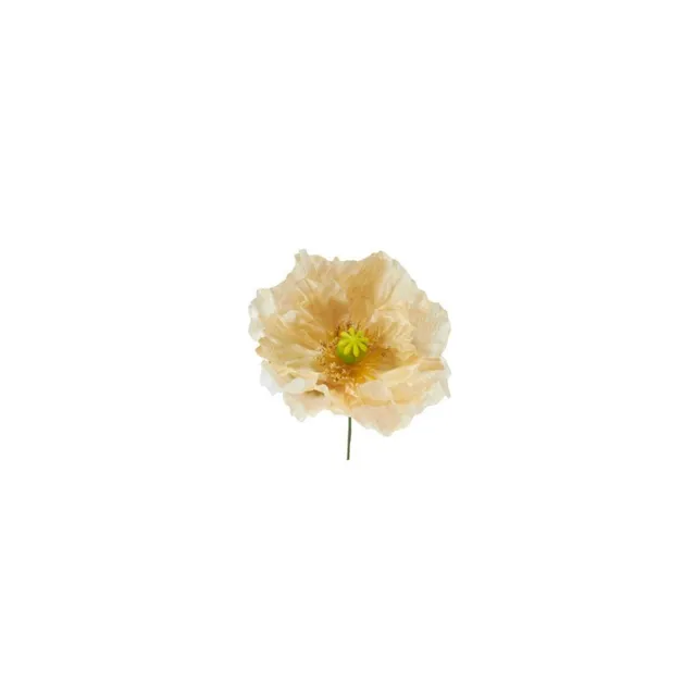 Sia Home coquelicot tige à piquer jaune pâle 18 cm