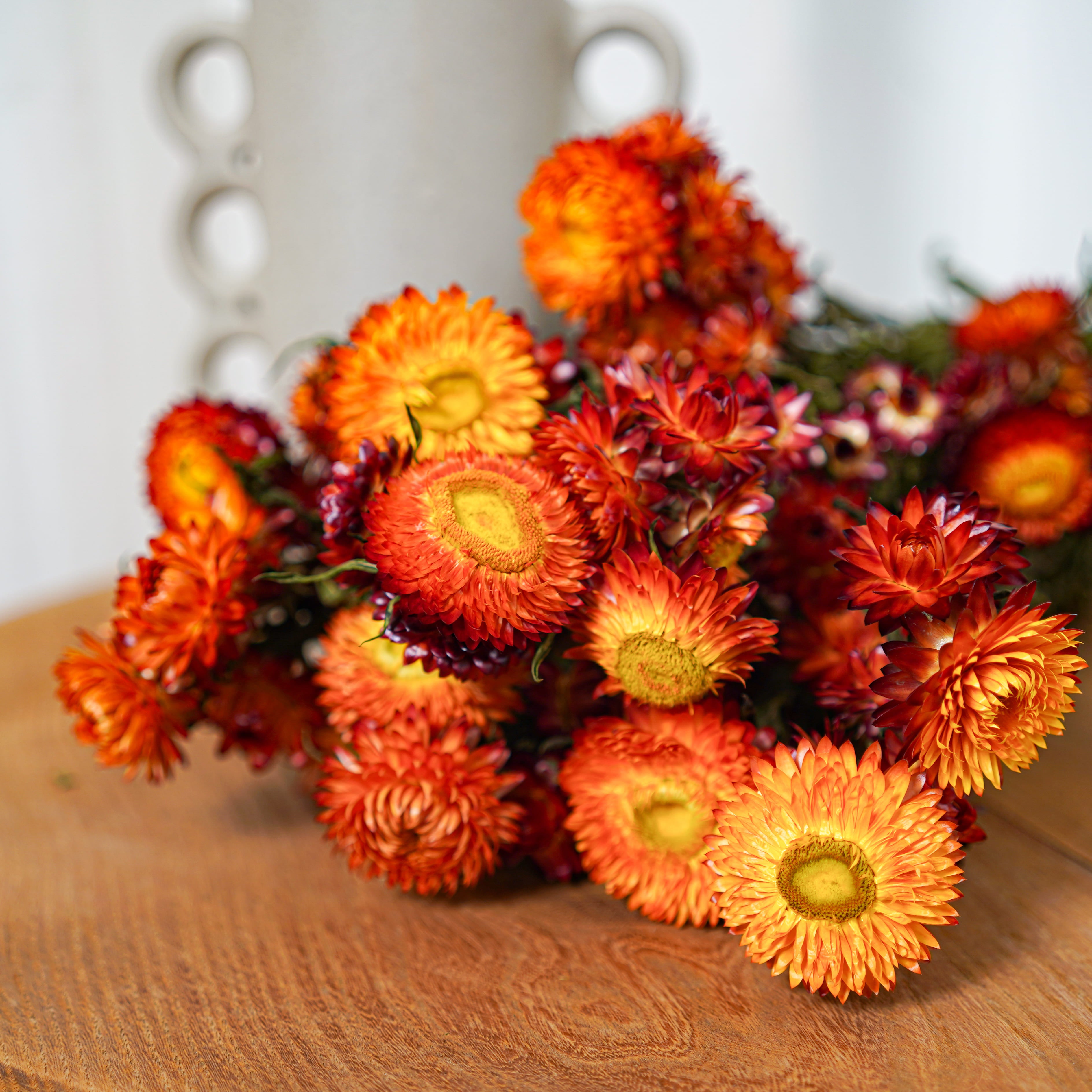 Flowrette Fleurs séchées botte Helichrysum orange x1
