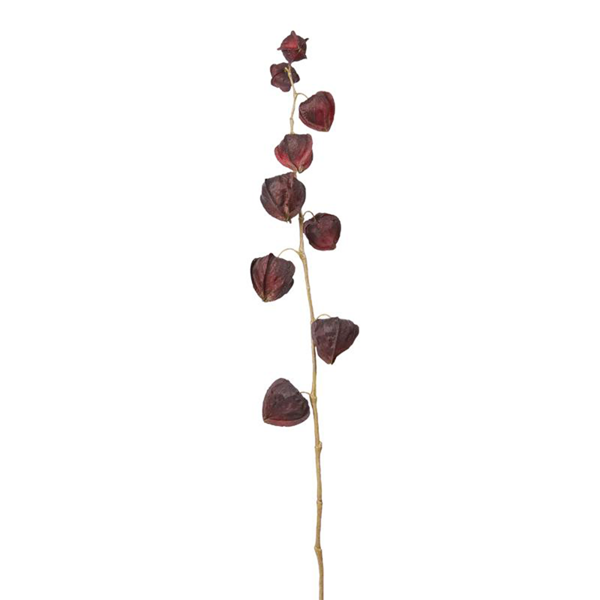Sia Home Physalis Marly tige artificielle rose 54 cm