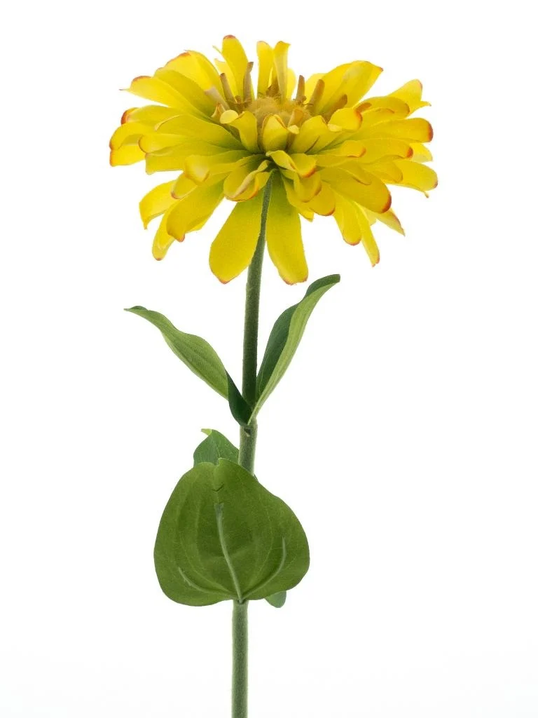 Feuillazur Rungis Zinna Fleur Artificielle Rose 58 cm