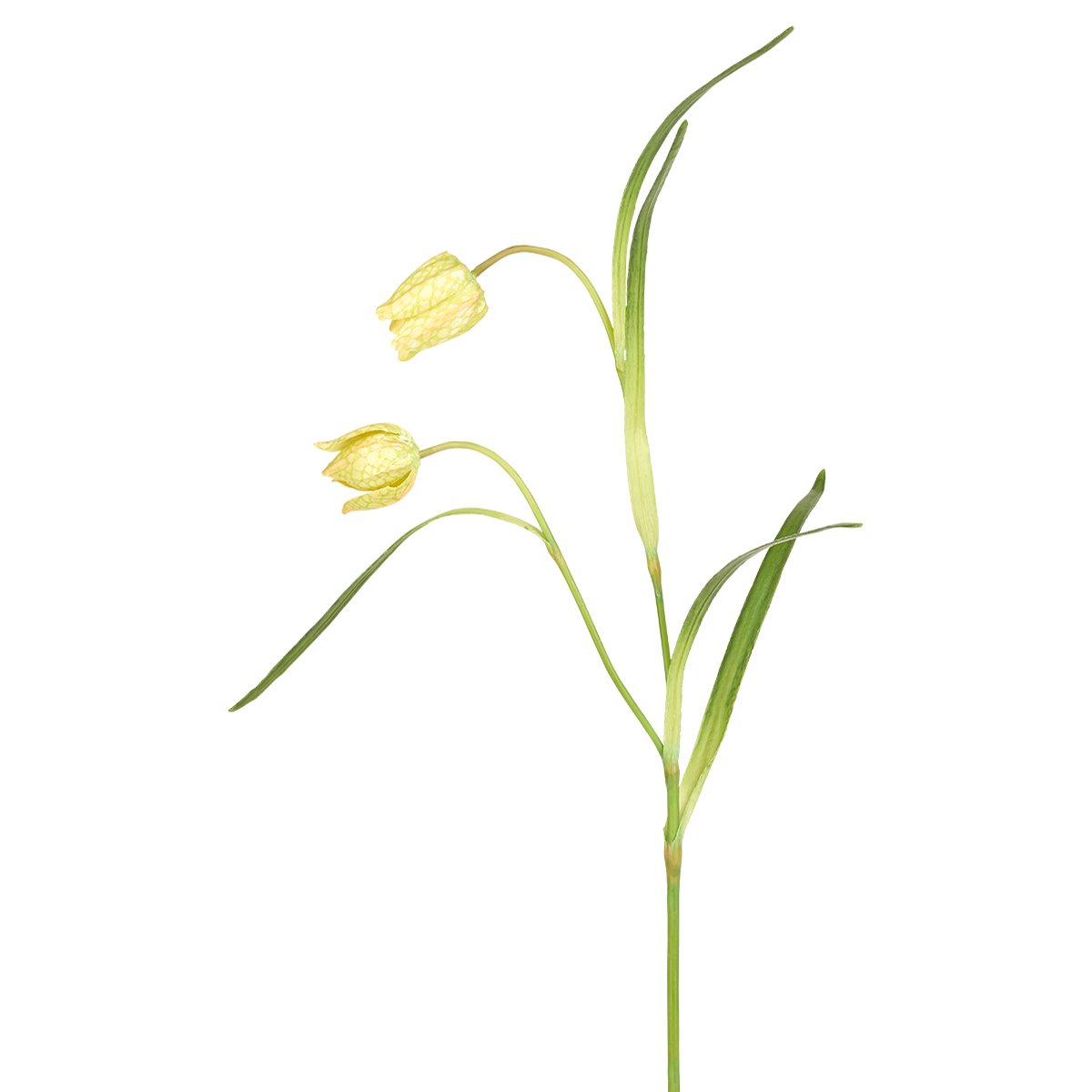 Sia Home Fritillaria tige fleur artificielle rouge 70 cm