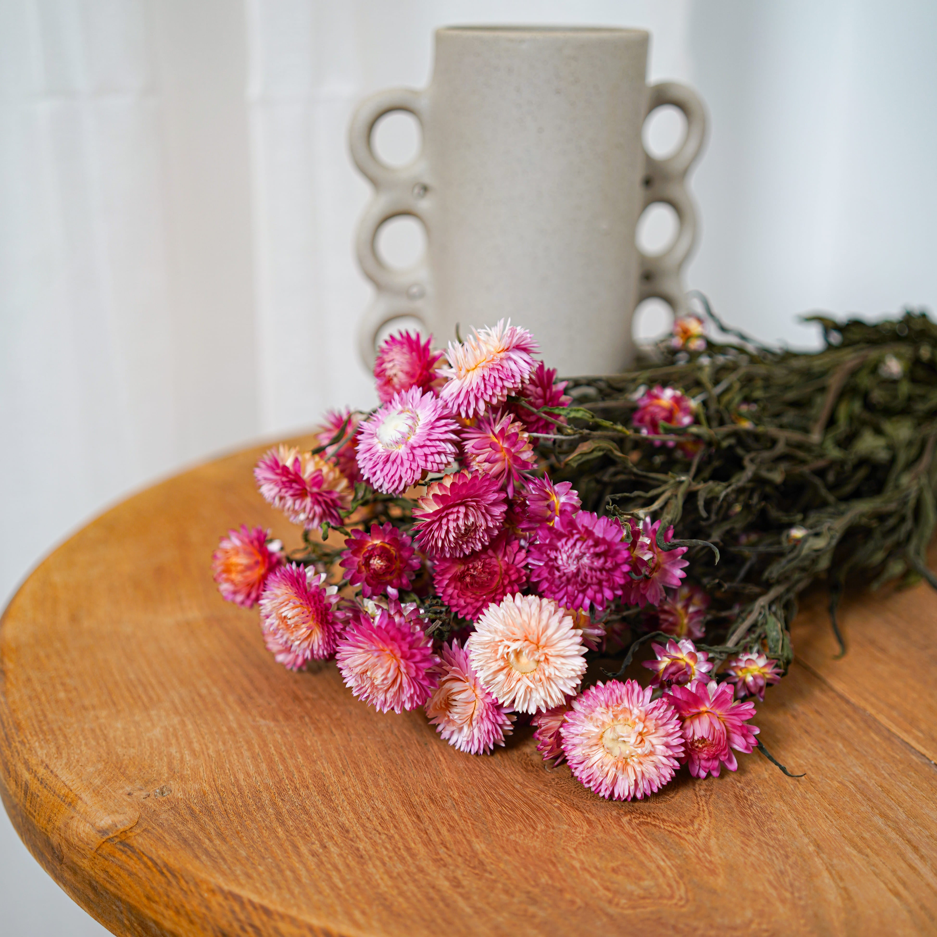 Flowrette Helichrysum botte fleurs séchées roses x1