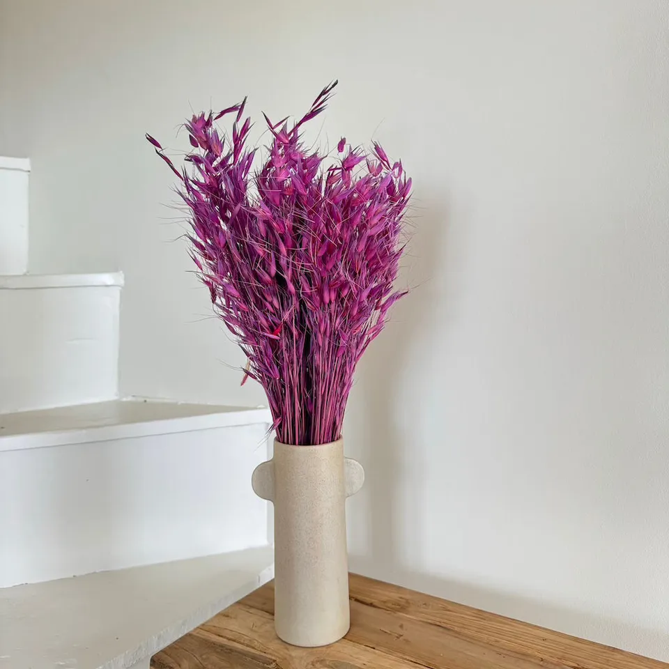 Flowrette Avoine Fuchsia botte fleurs séchées x1 rose