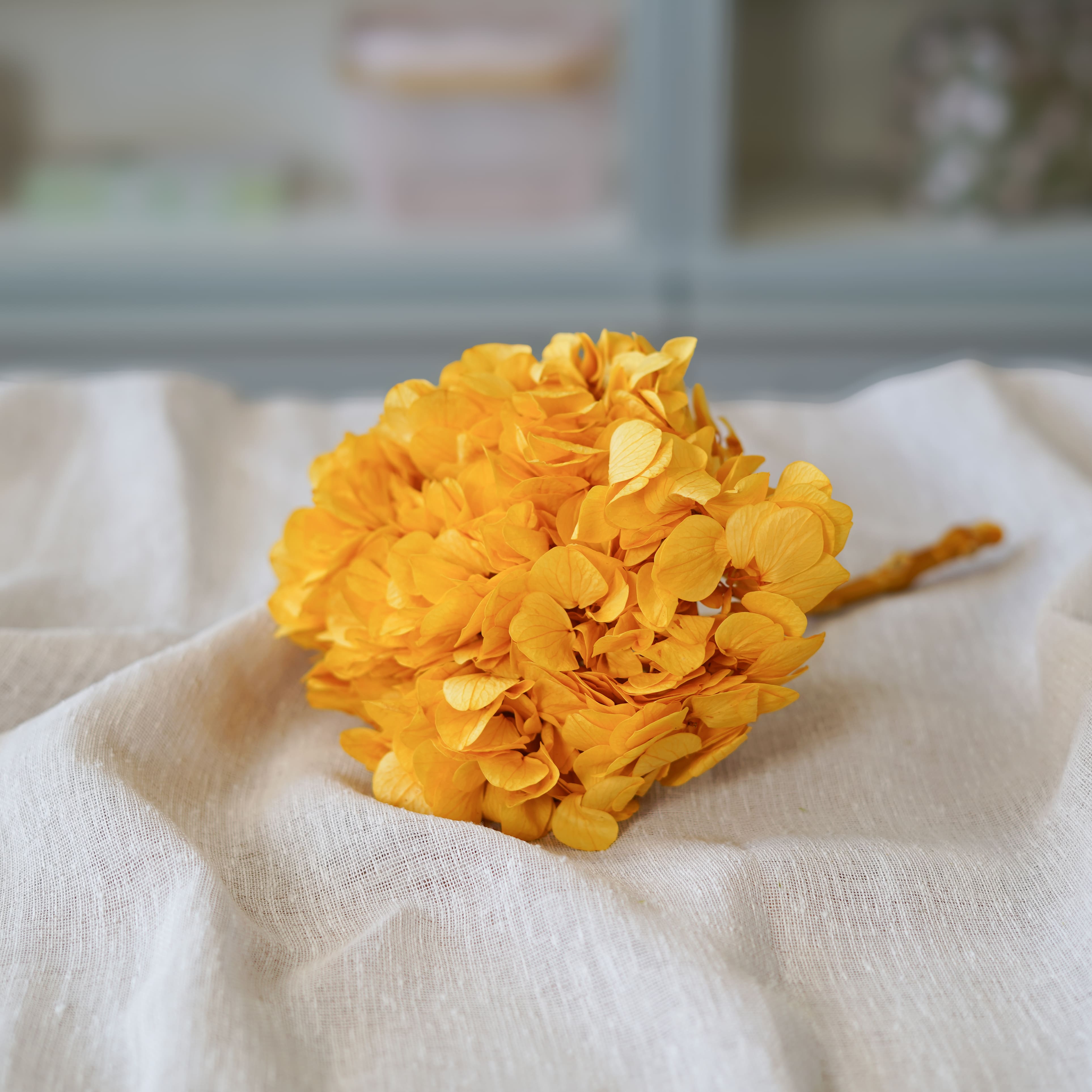 Flowrette Hortensia jaune moutarde fleur stabilisée tige salon