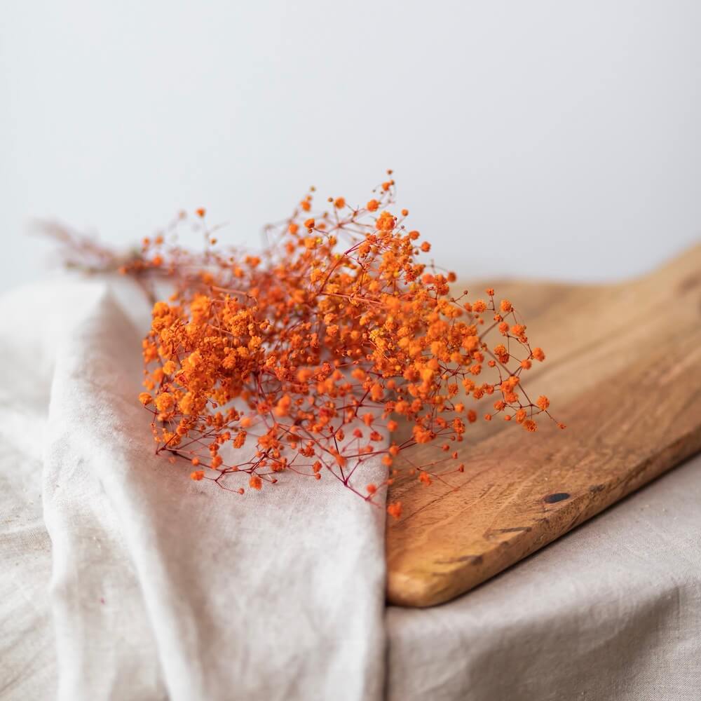 Flowrette Fleurs séchées botte gypsophile orange stabilisé x1