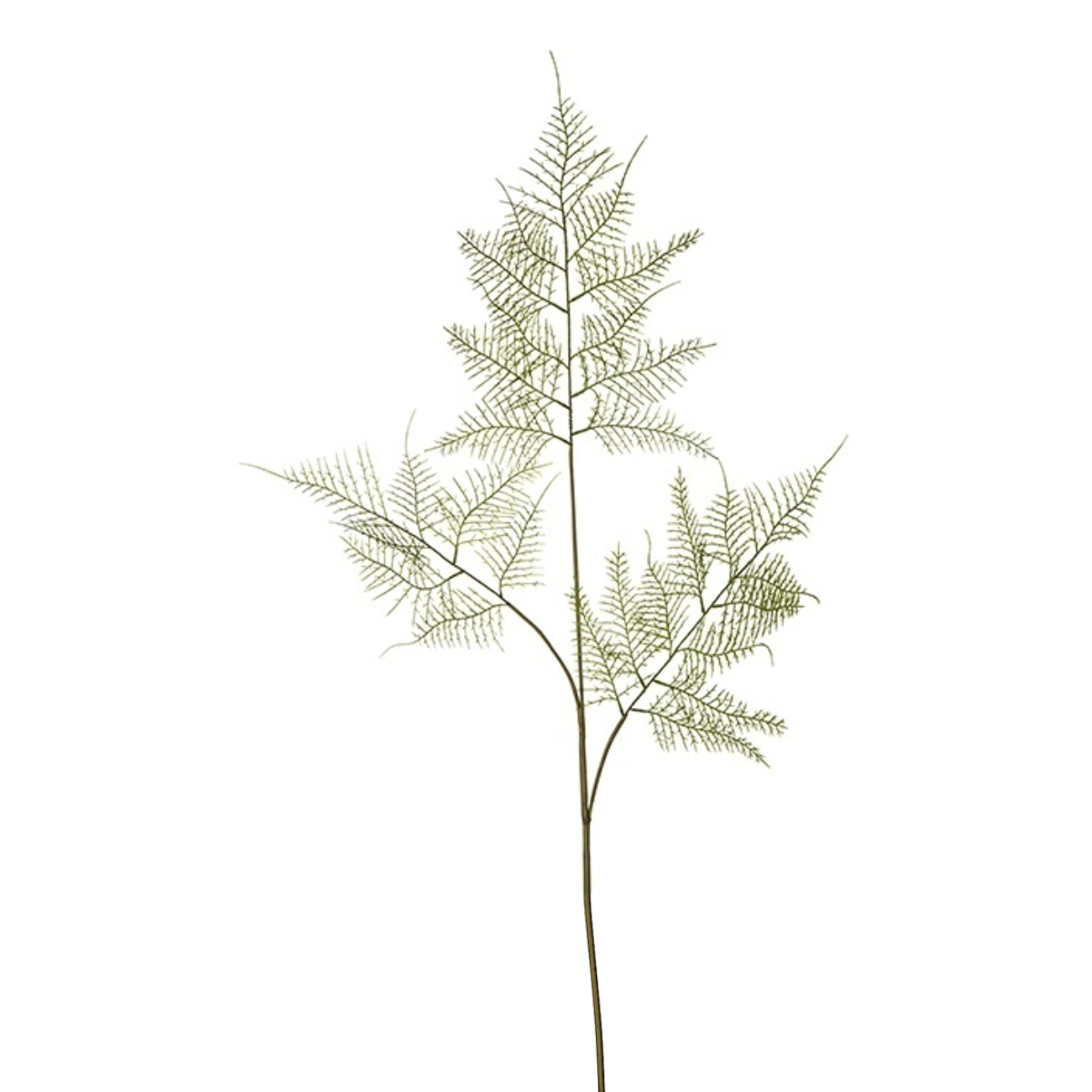 Sia Home Feuillages Asparagus 90 cm tige verte plastique