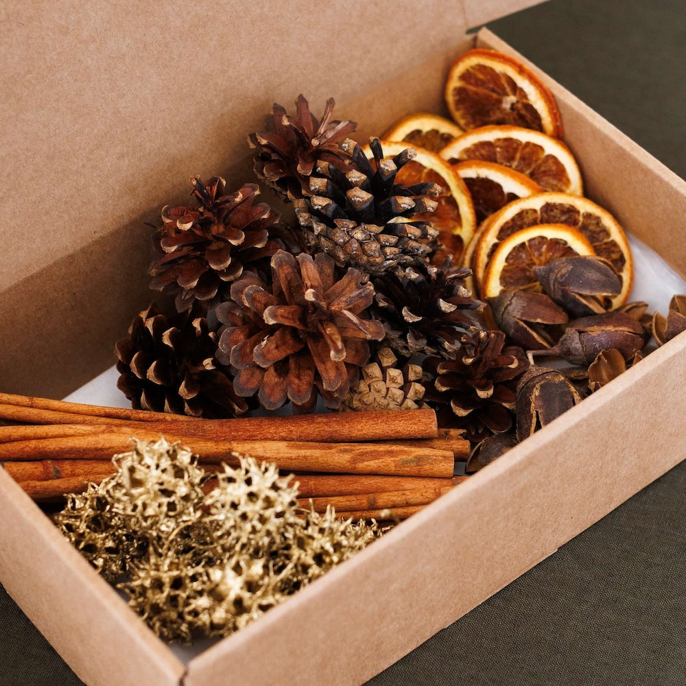 Flowrette Décoration coffret Noël naturel cannelle orange