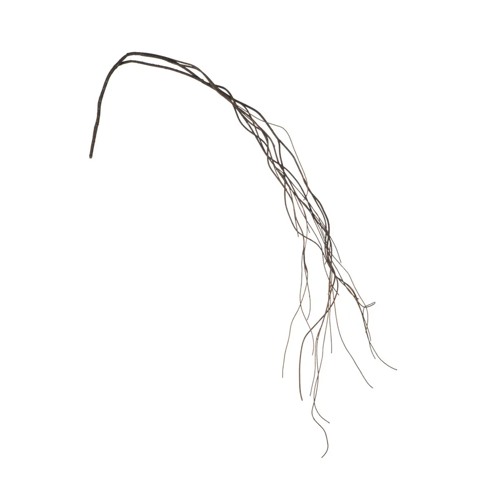 Sia Home Branches 160cm branche marron bois séché