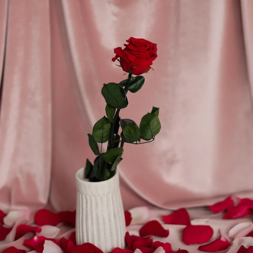 Flowrette Rose rouge stabilisée naturelle x1 longue durée