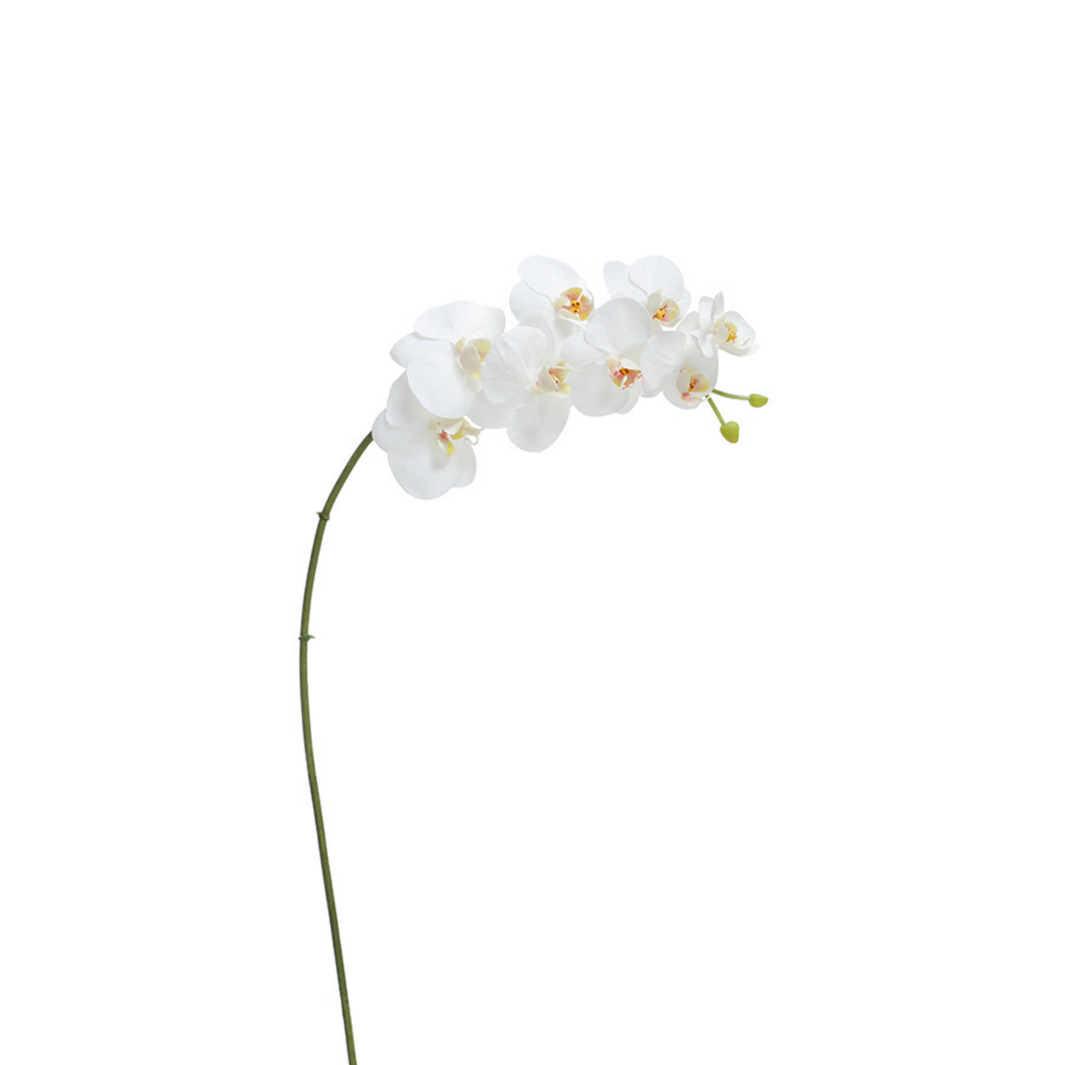 Sia Home Orchidée tige artificielle blanche 72 cm