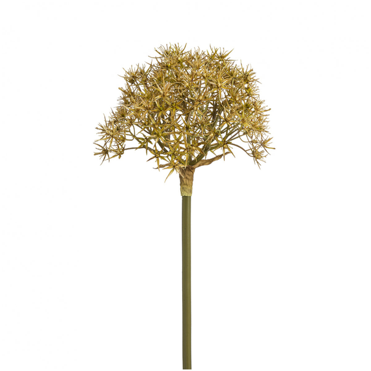 Sia Home Allium Atropurpureum tige artificielle orange 89 cm