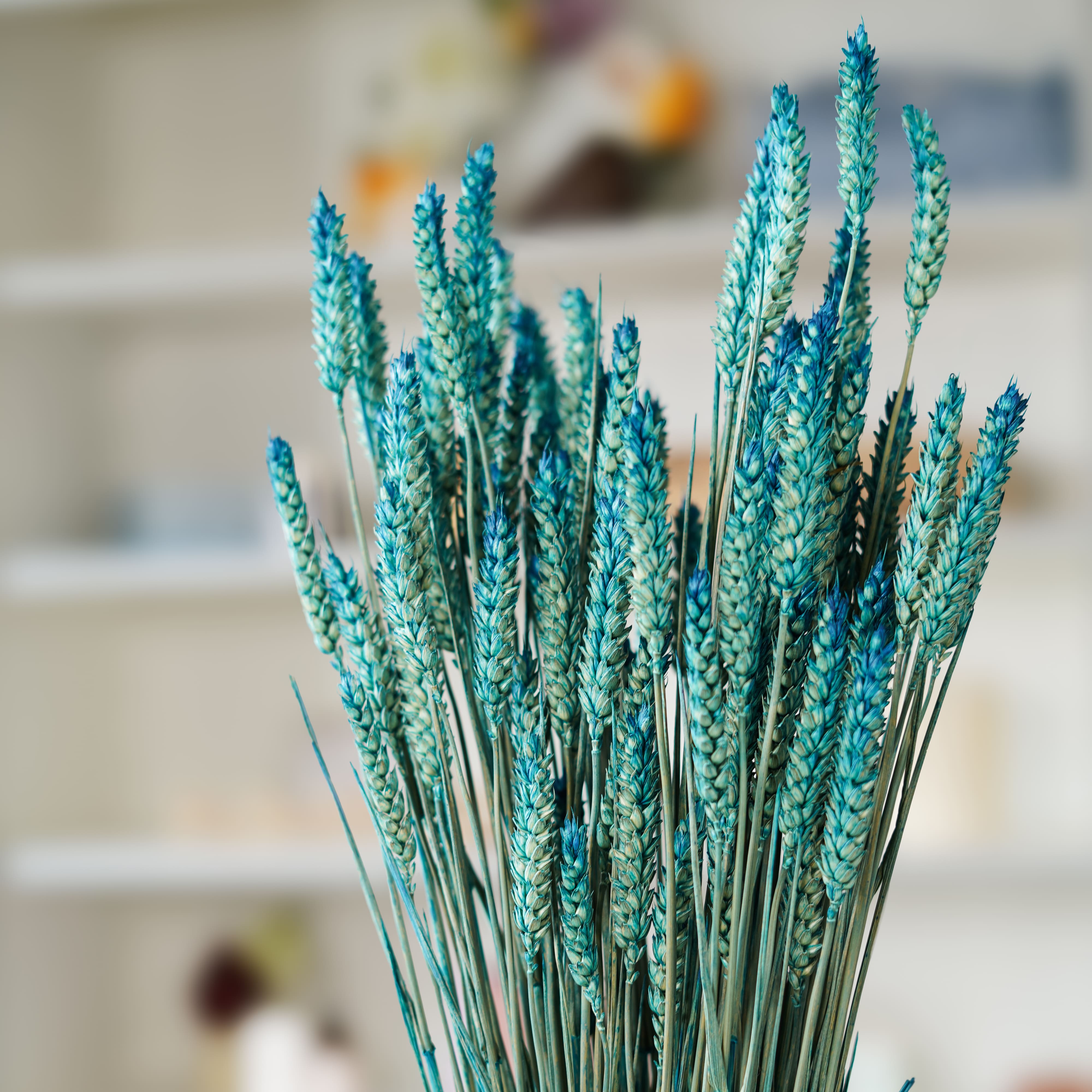 Flowrette Fleurs séchées Botte Blé Bleu pétrole x1 sans entretien
