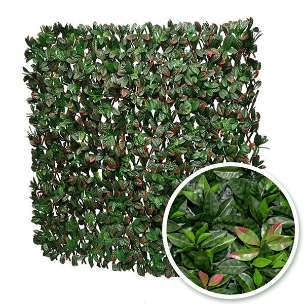 Feuillazur Rungis Plaque Photinia Vert 100x200cm