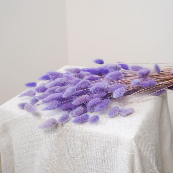 Flowrette Lagurus botte fleurs séchées violet clair doux