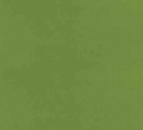 Feuillazur Rungis Moquette Vert olive décorative 1m