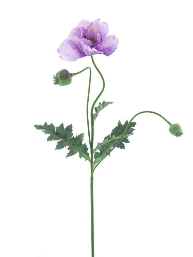Feuillazur Rungis Coquelicot fleur artificielle rouge 93cm salon