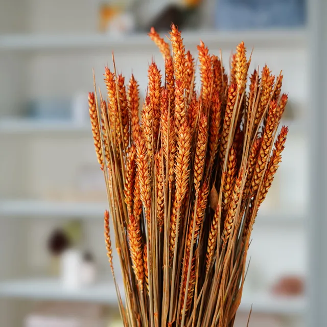 Flowrette Botte blé orange séché x1 déco champêtre
