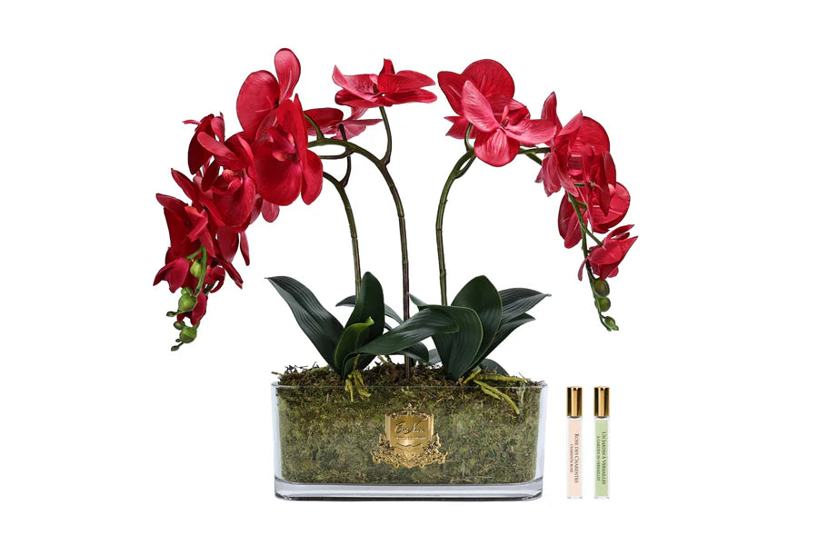 Côte Noire Orchidée OOV14 bouquet rouge ovale parfumé