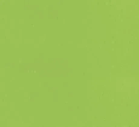Feuillazur Rungis Vert clair moquette décorative 1m vert