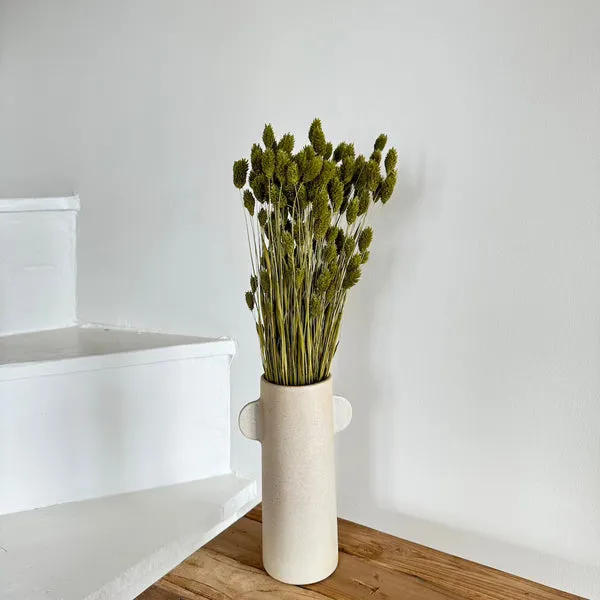 Flowrette Fleurs séchées botte phalaris vert olive séché