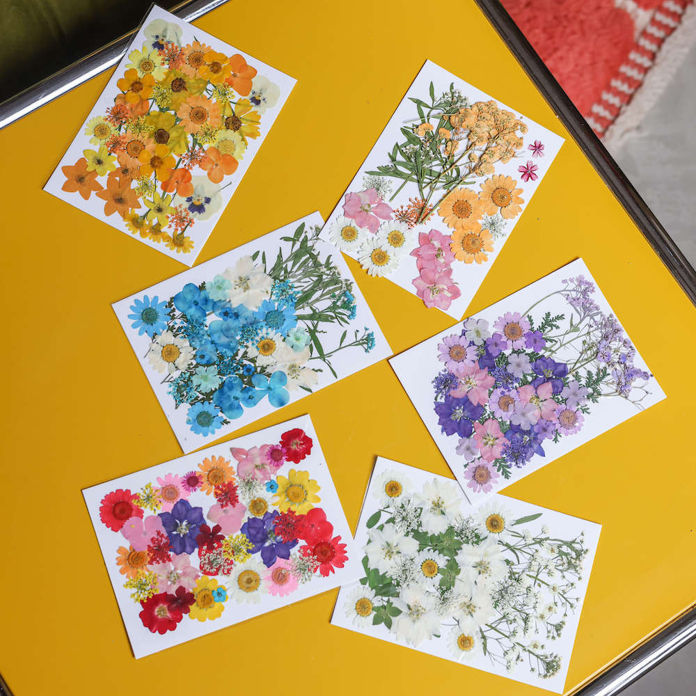 Flowrette fleurs pressées violettes pochette herbier DIY