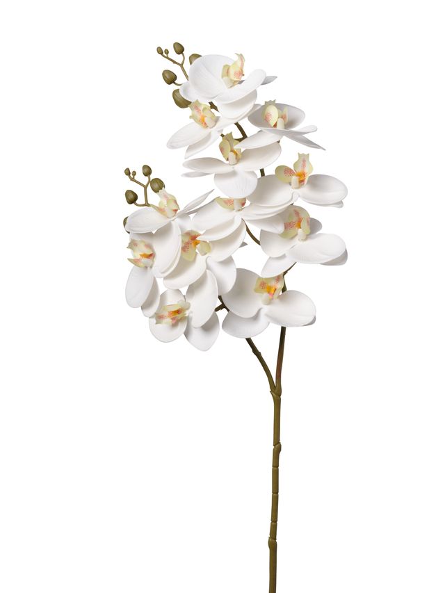 Feuillazur Rungis orchidée fleur artificielle blanche 74cm
