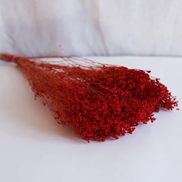 Flowrette Broom Bloom botte rouge x1 fleur séchée